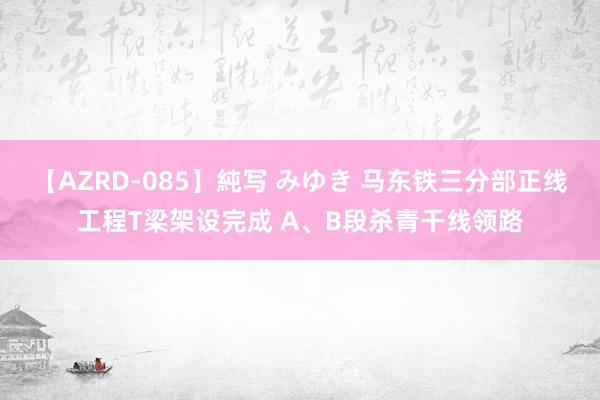 【AZRD-085】純写 みゆき 马东铁三分部正线工程T梁架设完成 A、B段杀青干线领路