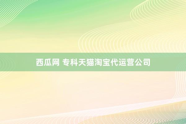 西瓜网 专科天猫淘宝代运营公司