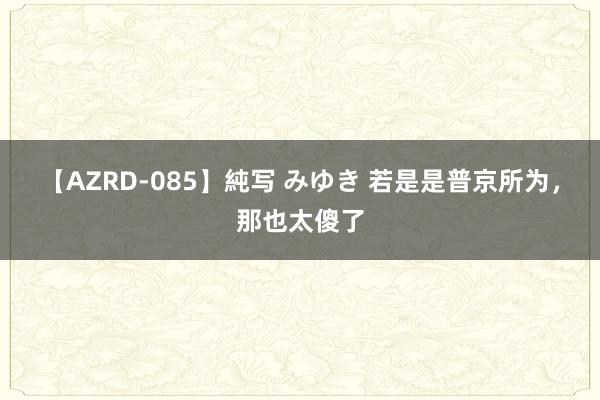 【AZRD-085】純写 みゆき 若是是普京所为，那也太傻了