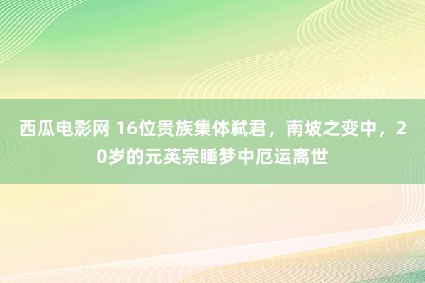 西瓜电影网 16位贵族集体弑君，南坡之变中，20岁的元英宗睡梦中厄运离世