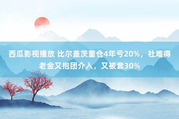 西瓜影视播放 比尔盖茨重仓4年亏20%，社难得老金又抱团介入，又被套30%