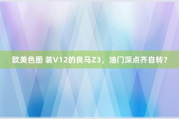 欧美色图 装V12的良马Z3，油门深点齐自转？