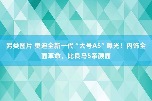 另类图片 奥迪全新一代“大号A5”曝光！内饰全面革命，比良马5系颜面