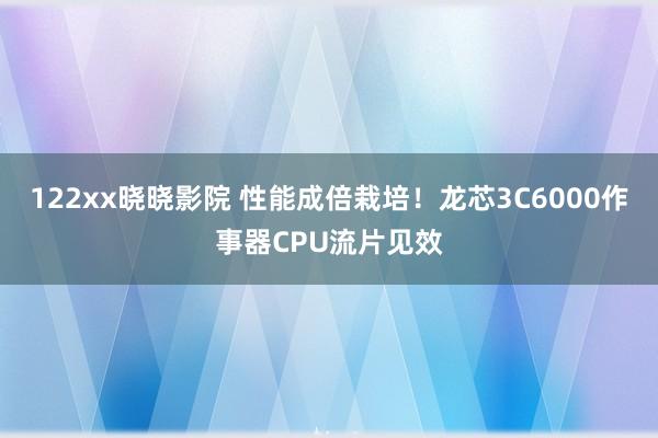 122xx晓晓影院 性能成倍栽培！龙芯3C6000作事器CPU流片见效