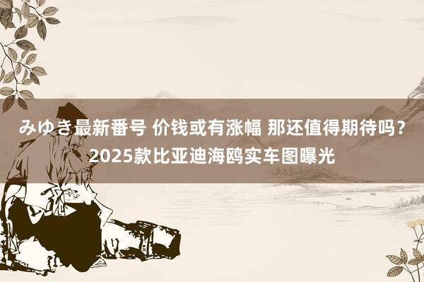 みゆき最新番号 价钱或有涨幅 那还值得期待吗？2025款比亚迪海鸥实车图曝光