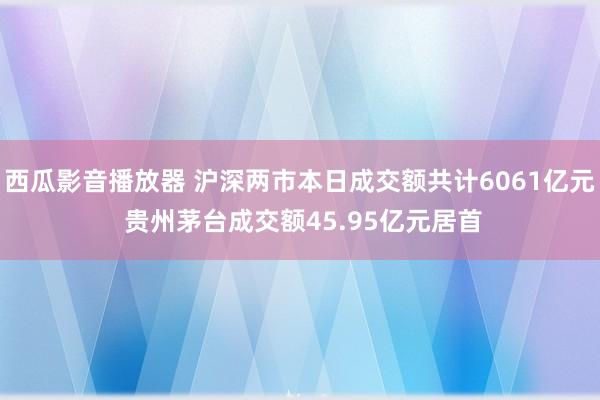 西瓜影音播放器 沪深两市本日成交额共计6061亿元 贵州茅台成交额45.95亿元居首