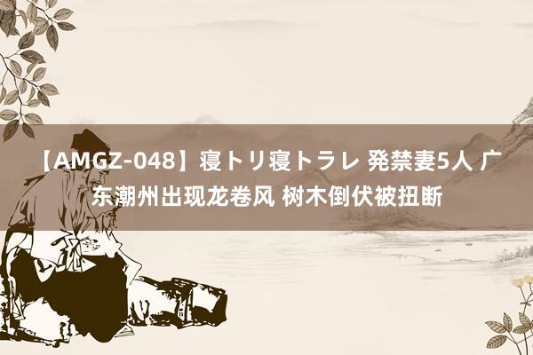 【AMGZ-048】寝トリ寝トラレ 発禁妻5人 广东潮州出现龙卷风 树木倒伏被扭断