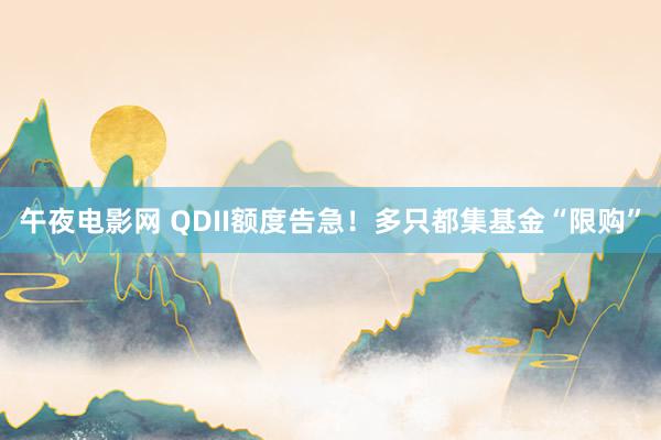 午夜电影网 QDII额度告急！多只都集基金“限购”