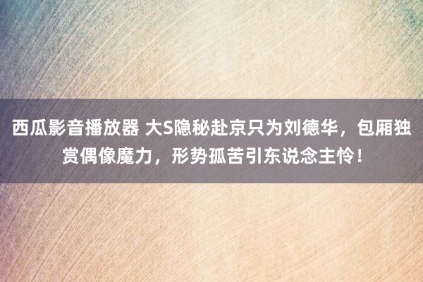 西瓜影音播放器 大S隐秘赴京只为刘德华，包厢独赏偶像魔力，形势孤苦引东说念主怜！