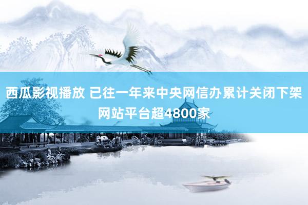 西瓜影视播放 已往一年来中央网信办累计关闭下架网站平台超4800家