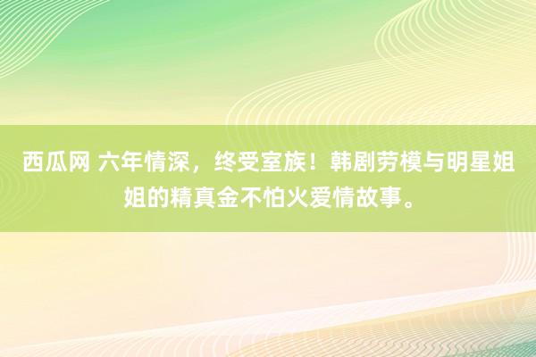 西瓜网 六年情深，终受室族！韩剧劳模与明星姐姐的精真金不怕火爱情故事。