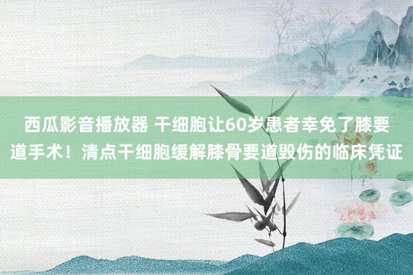 西瓜影音播放器 干细胞让60岁患者幸免了膝要道手术！清点干细胞缓解膝骨要道毁伤的临床凭证