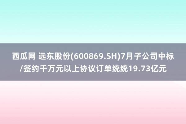 西瓜网 远东股份(600869.SH)7月子公司中标/签约千万元以上协议订单统统19.73亿元