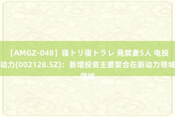 【AMGZ-048】寝トリ寝トラレ 発禁妻5人 电投动力(002128.SZ)：新增投资主要聚合在新动力领域