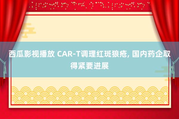 西瓜影视播放 CAR-T调理红斑狼疮， 国内药企取得紧要进展