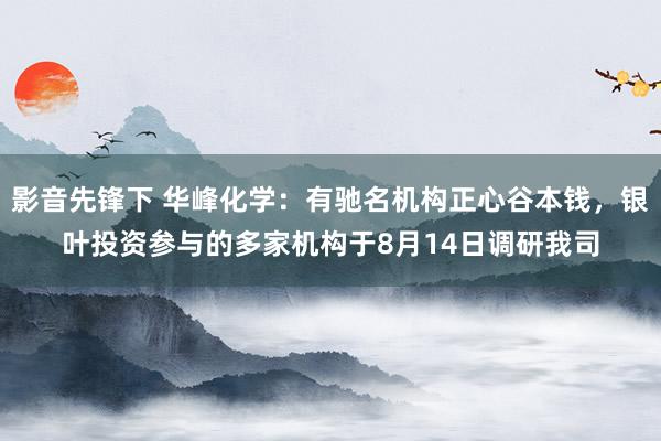 影音先锋下 华峰化学：有驰名机构正心谷本钱，银叶投资参与的多家机构于8月14日调研我司