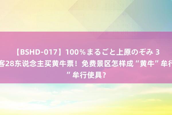 【BSHD-017】100％まるごと上原のぞみ 30名搭客28东说念主买黄牛票！免费景区怎样成“黄牛”牟行使具？