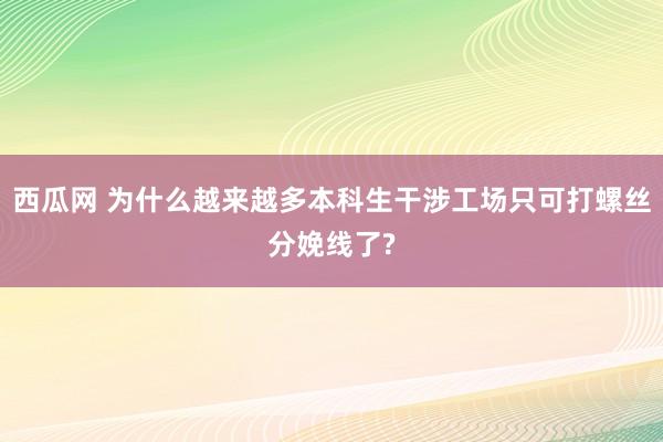 西瓜网 为什么越来越多本科生干涉工场只可打螺丝分娩线了?