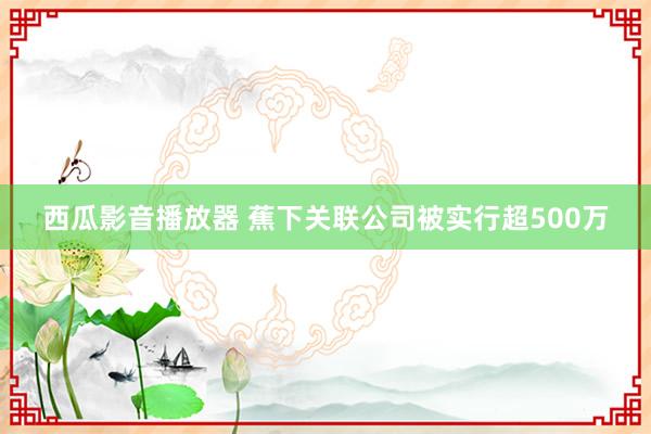 西瓜影音播放器 蕉下关联公司被实行超500万