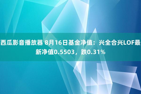 西瓜影音播放器 8月16日基金净值：兴全合兴LOF最新净值0.5503，跌0.31%