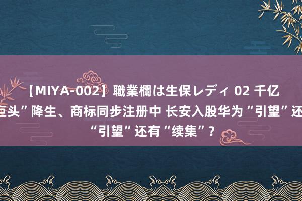 【MIYA-002】職業欄は生保レディ 02 千亿估值“汽车巨头”降生、商标同步注册中 长安入股华为“引望”还有“续集”？