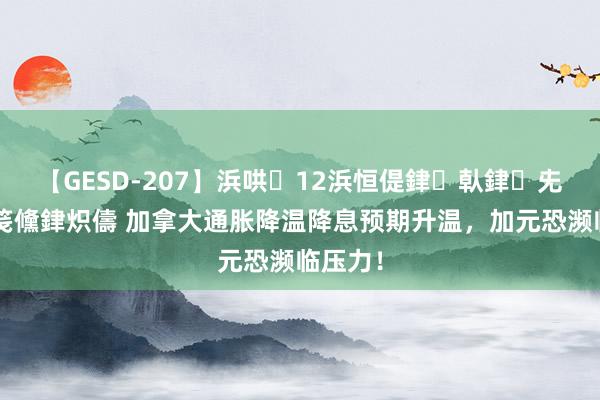 【GESD-207】浜哄12浜恒偍銉倝銉兂銉€銉笺儵銉炽儔 加拿大通胀降温降息预期升温，加元恐濒临压力！