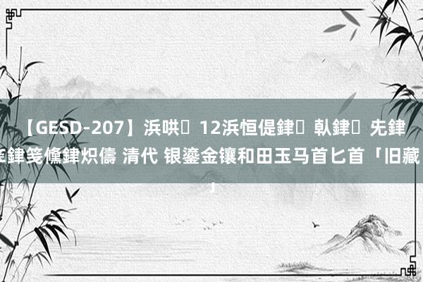 【GESD-207】浜哄12浜恒偍銉倝銉兂銉€銉笺儵銉炽儔 清代 银鎏金镶和田玉马首匕首「旧藏」