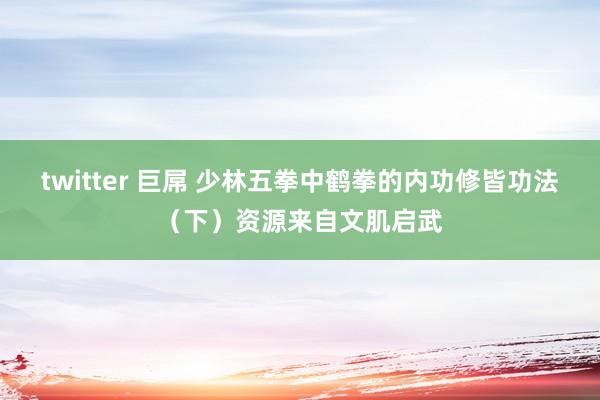 twitter 巨屌 少林五拳中鹤拳的内功修皆功法（下）资源来自文肌启武