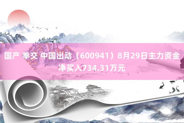 国产 拳交 中国出动（600941）8月29日主力资金净买入734.31万元