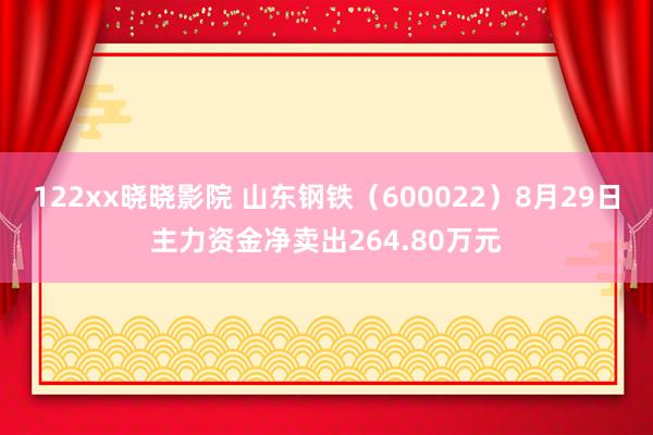 122xx晓晓影院 山东钢铁（600022）8月29日主力资金净卖出264.80万元