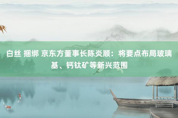 白丝 捆绑 京东方董事长陈炎顺：将要点布局玻璃基、钙钛矿等新兴范围