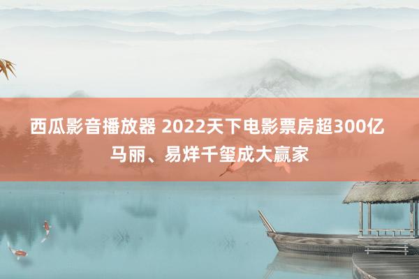 西瓜影音播放器 2022天下电影票房超300亿 马丽、易烊千玺成大赢家