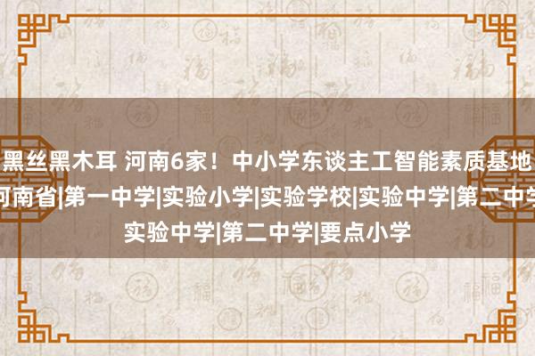 黑丝黑木耳 河南6家！中小学东谈主工智能素质基地名单公布|河南省|第一中学|实验小学|实验学校|实验中学|第二中学|要点小学