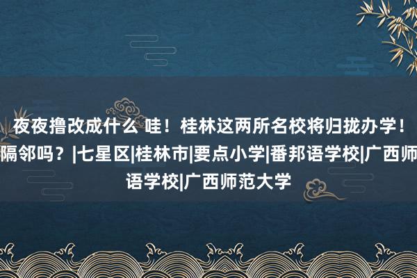 夜夜撸改成什么 哇！桂林这两所名校将归拢办学！你家在隔邻吗？|七星区|桂林市|要点小学|番邦语学校|广西师范大学