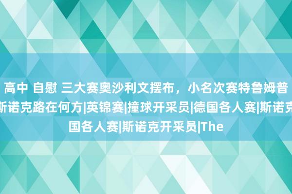 高中 自慰 三大赛奥沙利文摆布，小名次赛特鲁姆普承包，中国斯诺克路在何方|英锦赛|撞球开采员|德国各人赛|斯诺克开采员|The