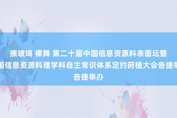 擦玻璃 裸舞 第二十届中国信息资源料表面坛暨中国信息资源料理学科自主常识体系定约莳植大会告捷举办