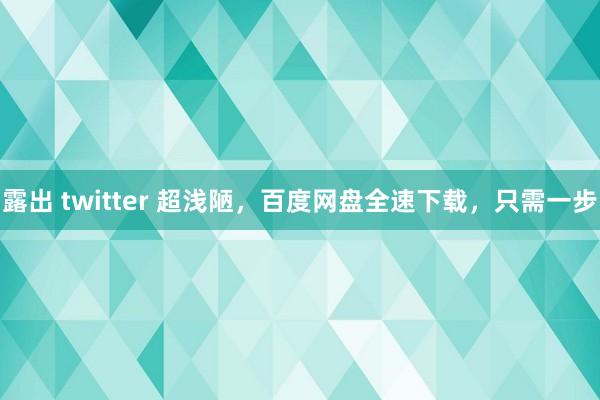 露出 twitter 超浅陋，百度网盘全速下载，只需一步